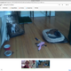 Illustration for article titled Use Google+ Hang Outs to Create Your Own Personal Puppy Cam
